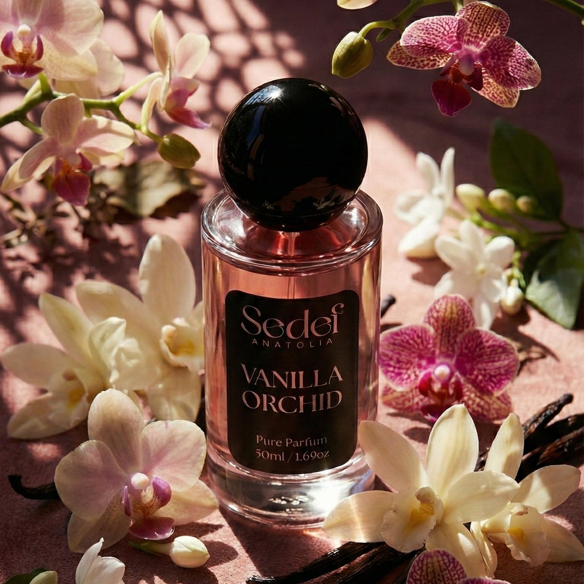 Vanilla Orchid