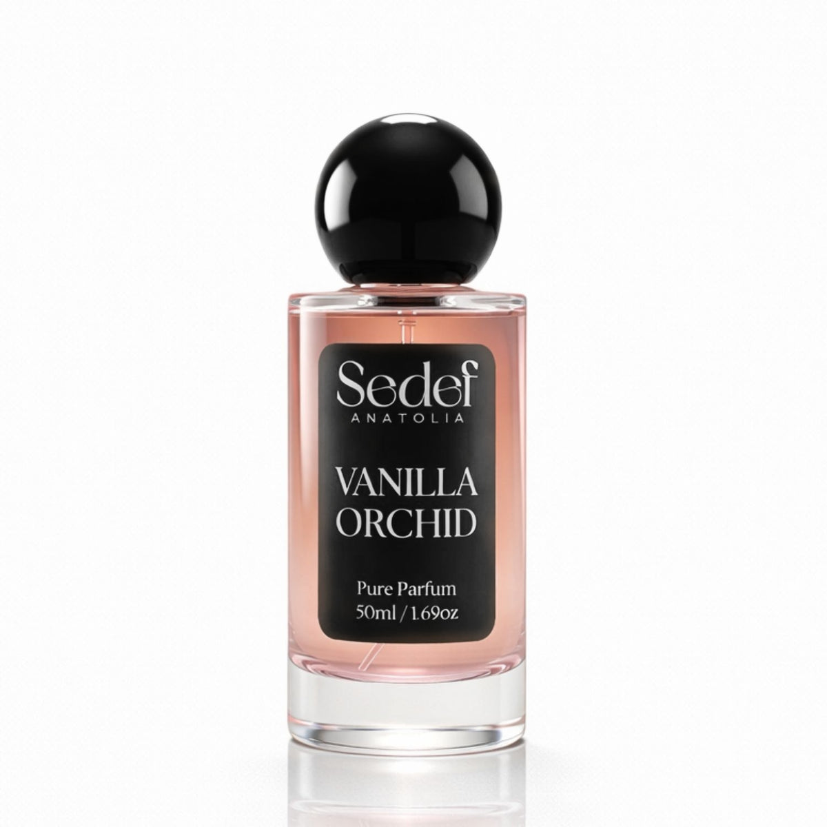 Vanilla Orchid