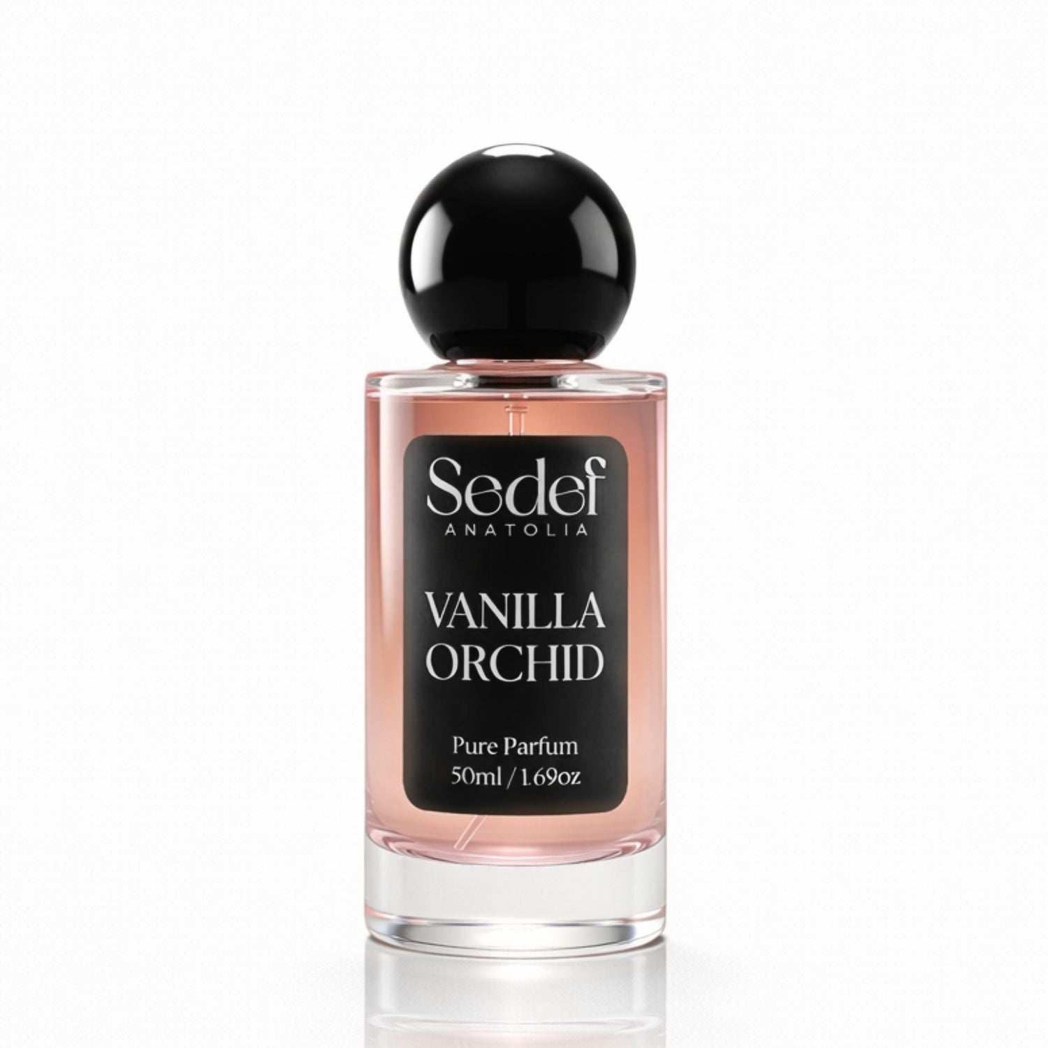 Vanilla Orchid