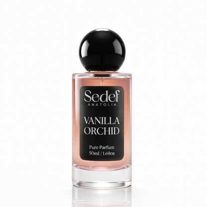 Vanilla Orchid